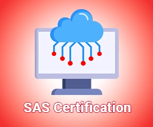 sas